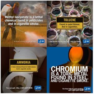 CDC Tobacco Free: What's In Your Lungs?: details >>