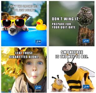 CDC Tobacco Free: Memes