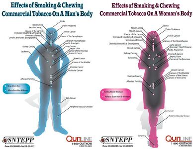 how chewing tobacco affects the body Media Campaign Resource Center (MCRC) Ad: Body Layout – Effects of Smoking  and Chewing